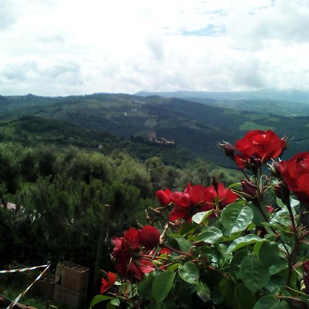 Poggio Al Vento Pensionat Castiglione dʼOrcia Eksteriør billede