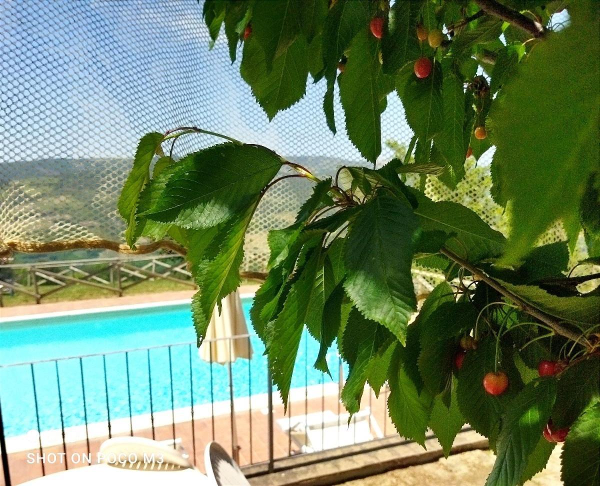 Poggio Al Vento Pensionat Castiglione dʼOrcia Eksteriør billede