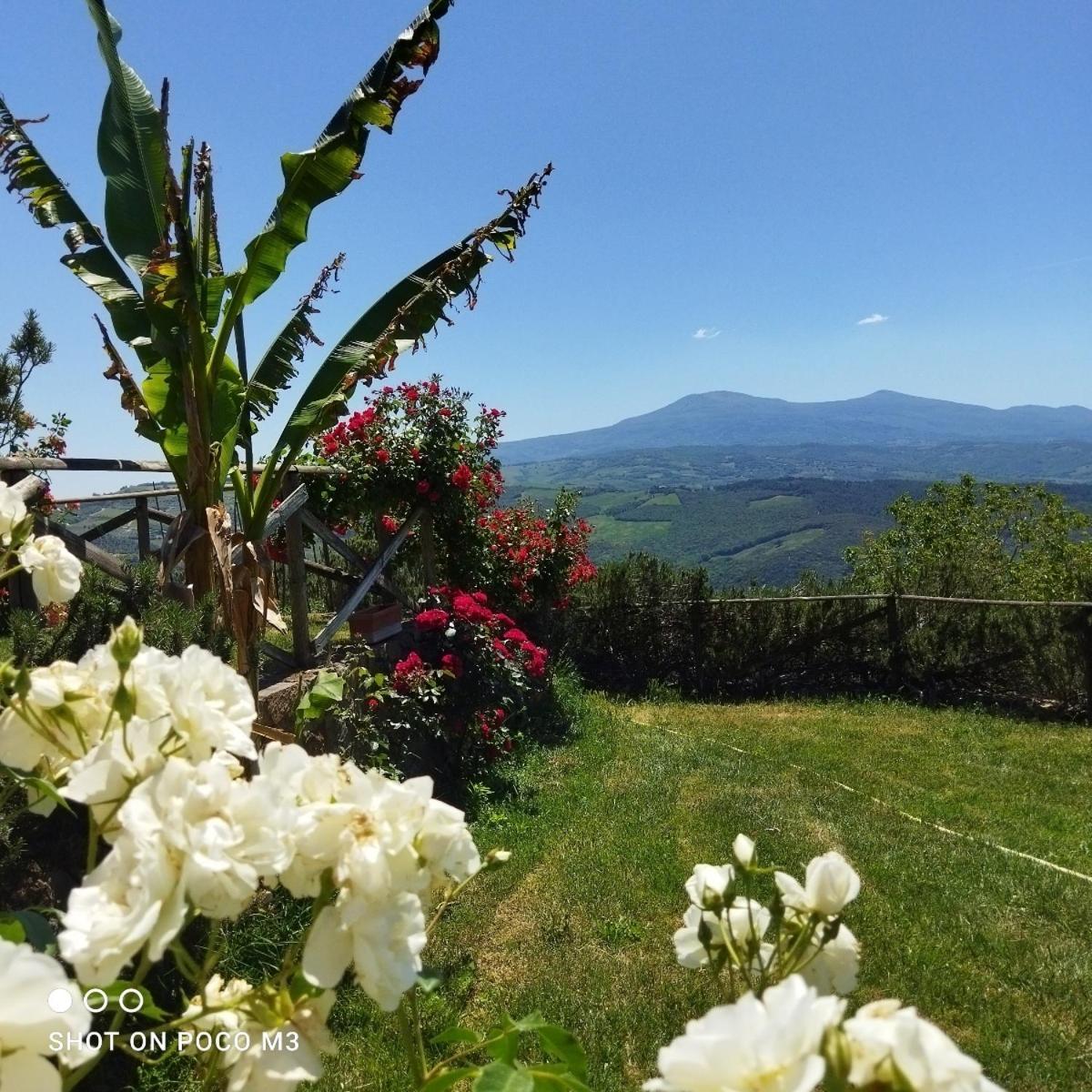 Poggio Al Vento Pensionat Castiglione dʼOrcia Eksteriør billede